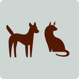 Illustration of a dog and a cat